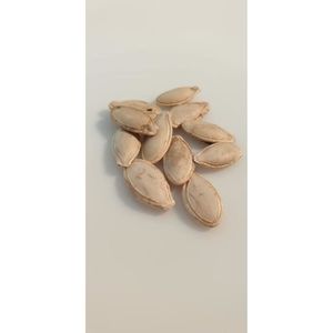 GRAINE - SEMENCE 10 graines - Courgette ronde de Nice - Idéal pour 