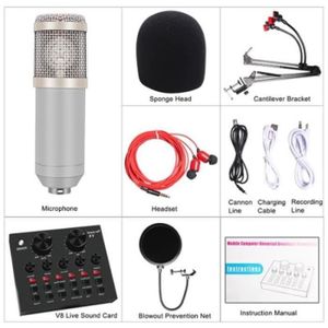 MICROPHONE - ACCESSOIRE Kit De Microphone Blanc Professionnel Karaoké à Co