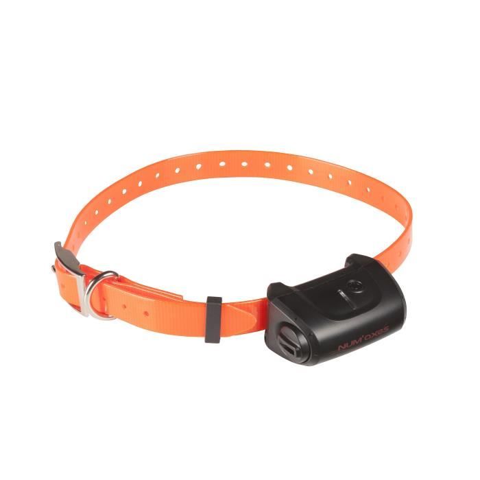 NUMAXES Collier supplémentaire CANICOM 5 - Sangle orange