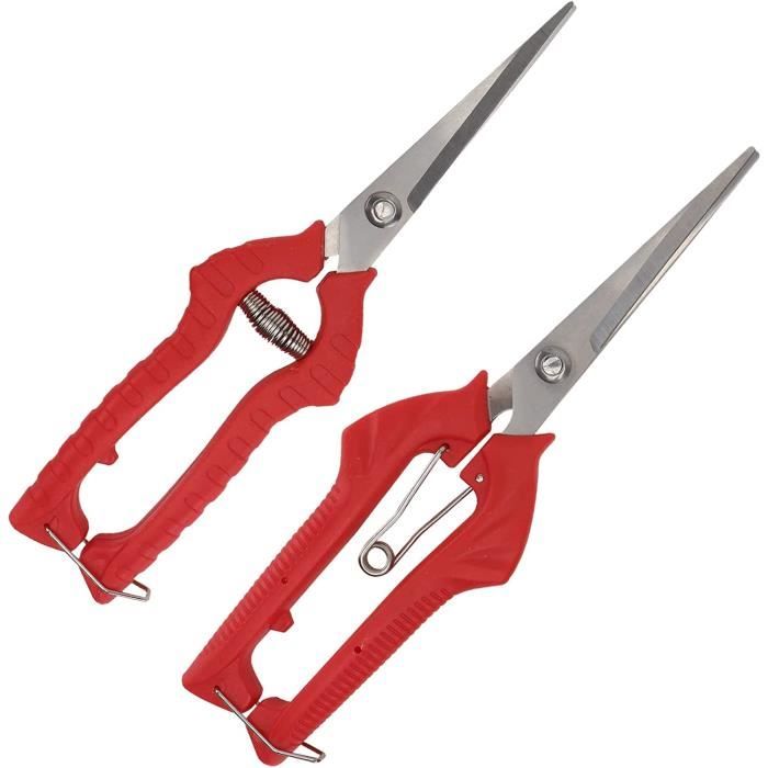 YeBon Lot De 10 000 Agrafes De Jardin Pour Bonsaï Et Arbres Fruitiers - Clous En Acier Inoxydable Solides