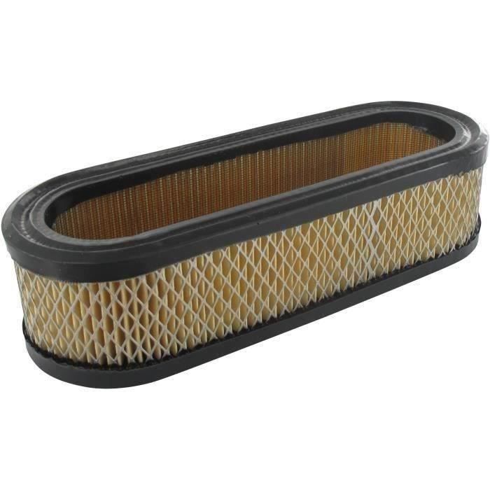 Filtre à air BRIGGS ET STRATTON 394019