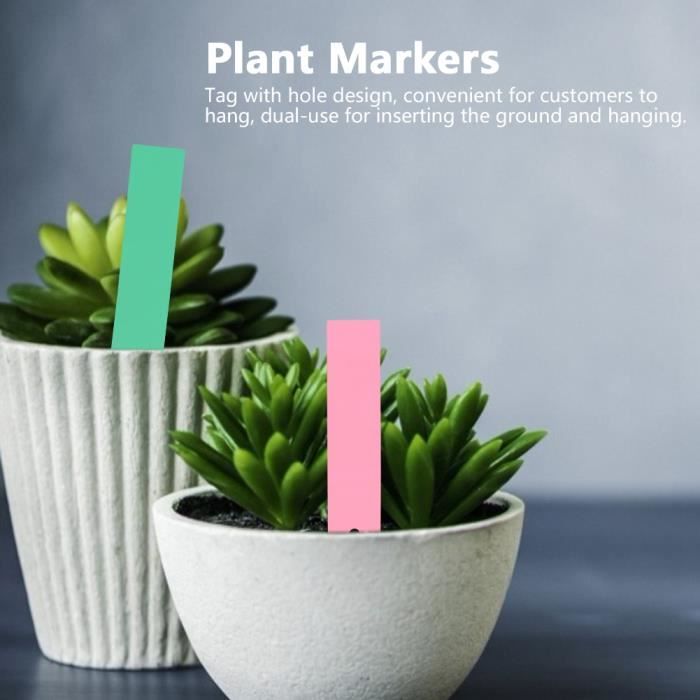 Étiquettes De Plantes Souriantes De Type T, 100 Pièces, Fleurs En Pot