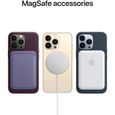 Coque APPLE iPhone 13 Pro Max cuir Wisteria-3