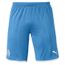 short puma garcon