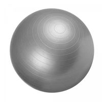 Swiss ball - Ballon de gym 75cm Gris - GORILLA SPORTS - Fitness - Mixte