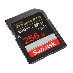 CARTE MÉMOIRE Carte Mémoire SD Sandisk Extreme Pro 256Go 256g R2