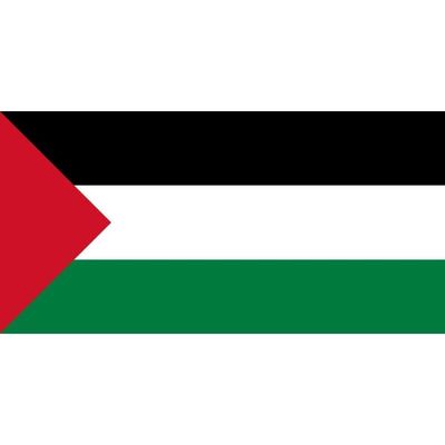 https://www.cdiscount.com/pdt2/2/0/7/1/400x400/auc2009798576207/rw/drapeau-palestine-palestinien-jerusalem-gaza.jpg