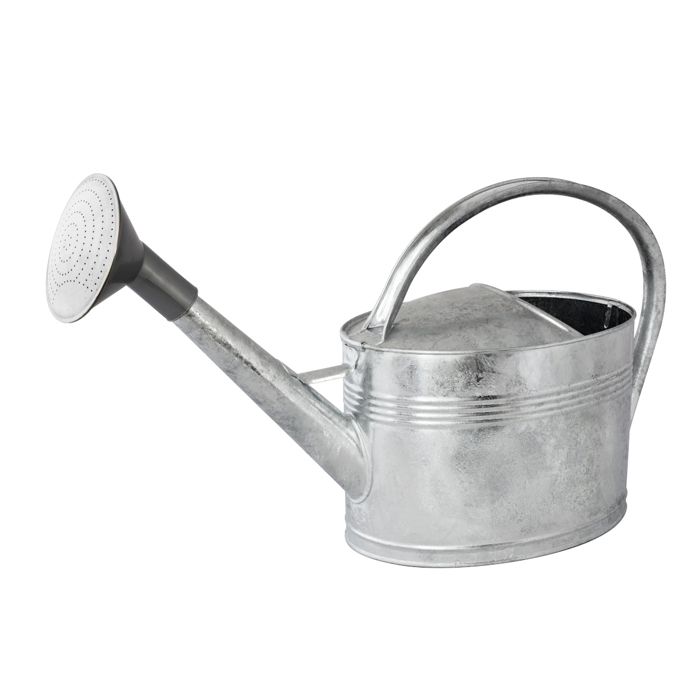 Arrosoir en acier galvanisé à chaud avec pomme 10 litres Gris