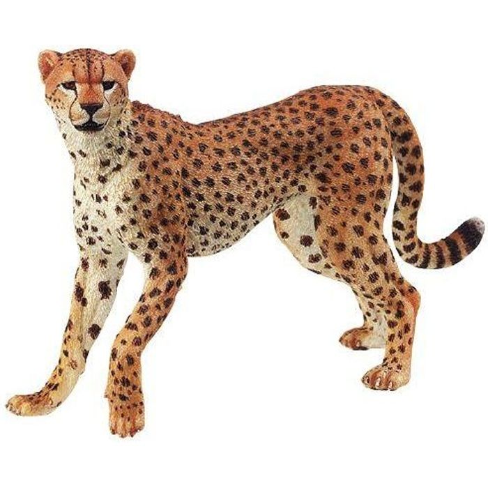 Papo - 50020 - Guépard 13 cm X 6 cm