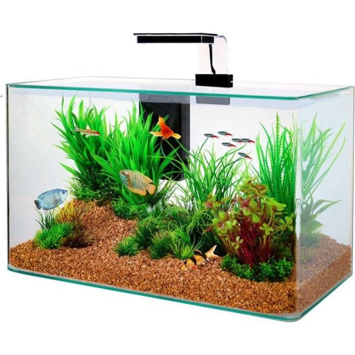 Kit aquarium Aqua clear 50 Noir