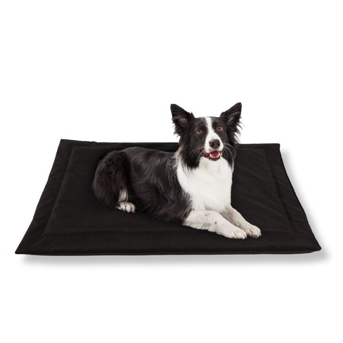 Comparer les prix de Lit pour Chien Panier Coussin Tapis Matelas M 100x70 cm Grande Taille Noir PET ZEN Étanche Dehoussable Lavable Mousse Résistante