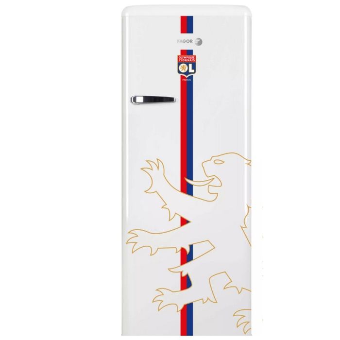 FAGOR FSPR194OLW - vue 4