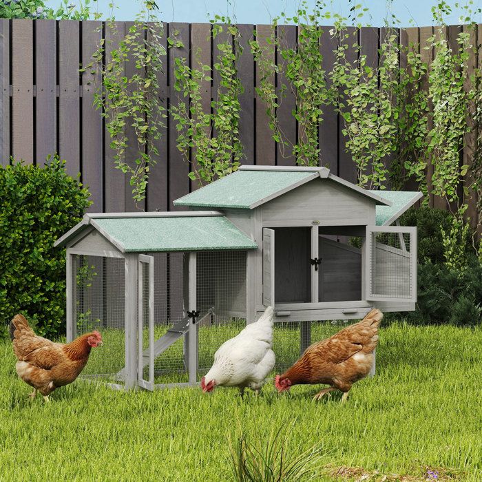 Poulailler en bois 168 x 75 x 103 cm gris avec enclos pondoir rampe et plateau amovible pour 2-4 poules