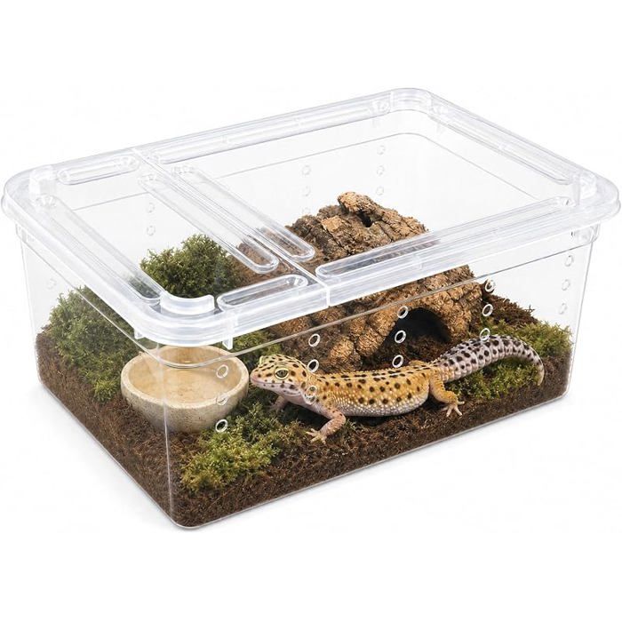 Boîte alimentation pour Reptiles Lot de 2 Transparent Fabriquée en PP Sûr et Durable Ouvertures de Ventition 2 Pièces PERCHOIR