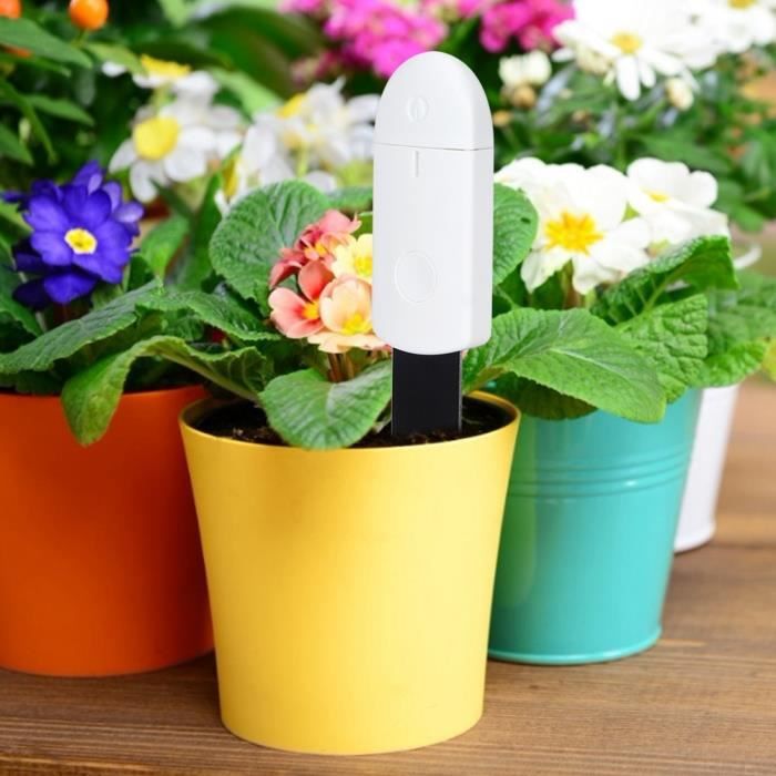 Testeur D'humidité Du Sol Numérique - Pour Plantes D'intérieur Et De Jardin - Hygromètre Portable Facile à Lire (145x35x30 Mm)