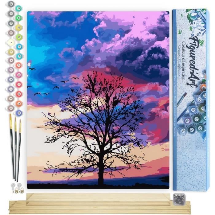 Peinture Par Numéros Figured'Art 40x50cm | Kit Complet Avec Toile Sur Châssis - Beauté En Couleurs