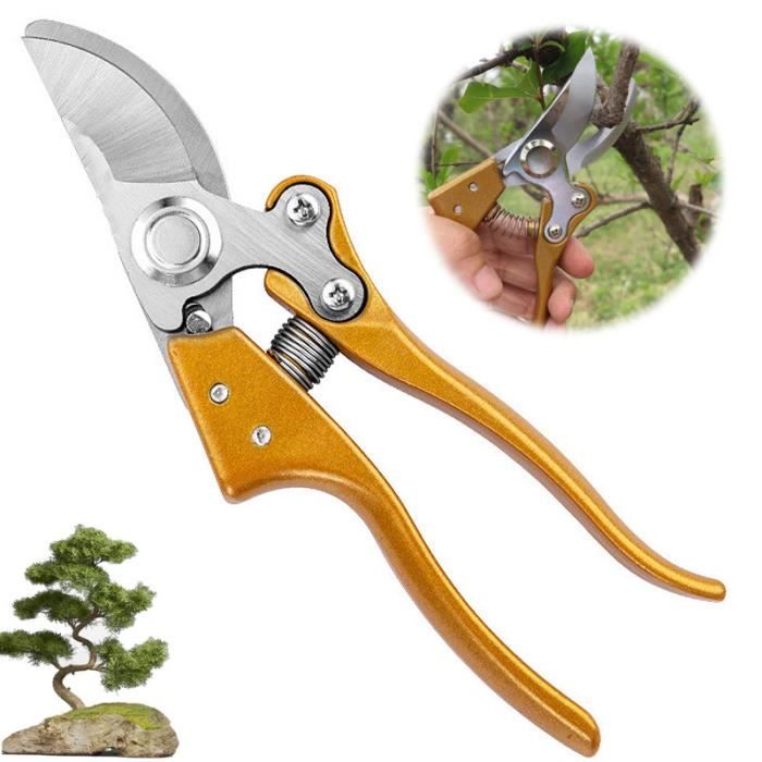 Sécateur De Jardin Professionnel – Coupe Branches Jusqu’à 3 Cm, Lame Acier Inoxydable, Poignée Ergonomique