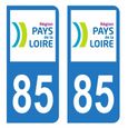 Lot 2 Autocollants Stickers plaque immatriculation voiture auto département 85 Vendée Logo Région Pays de la Loire-0
