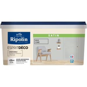 PEINTURE - VERNIS RIPOLIN ESPRIT DECO GRIS LOME SATIN 2.5L