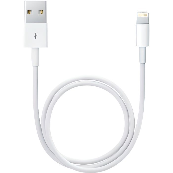 [Compatible iPad 2017-2018-AIR-MINI-PRO] Cable USB Chargeur Blanc 1 Metre [Phonillico®]