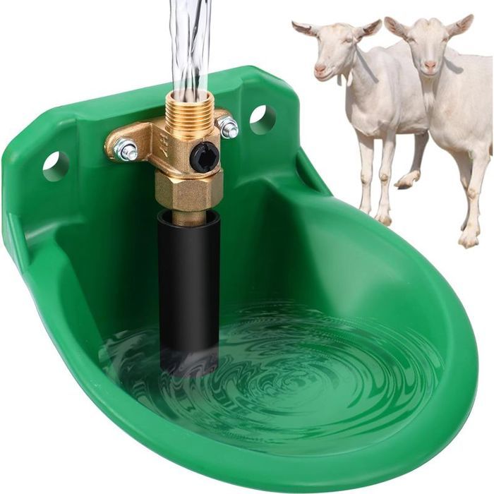 Abreuvoir automatique pour moutons mangeoires avec trous de drainage alimentation en eau automatique pour chevaux bovins mouton