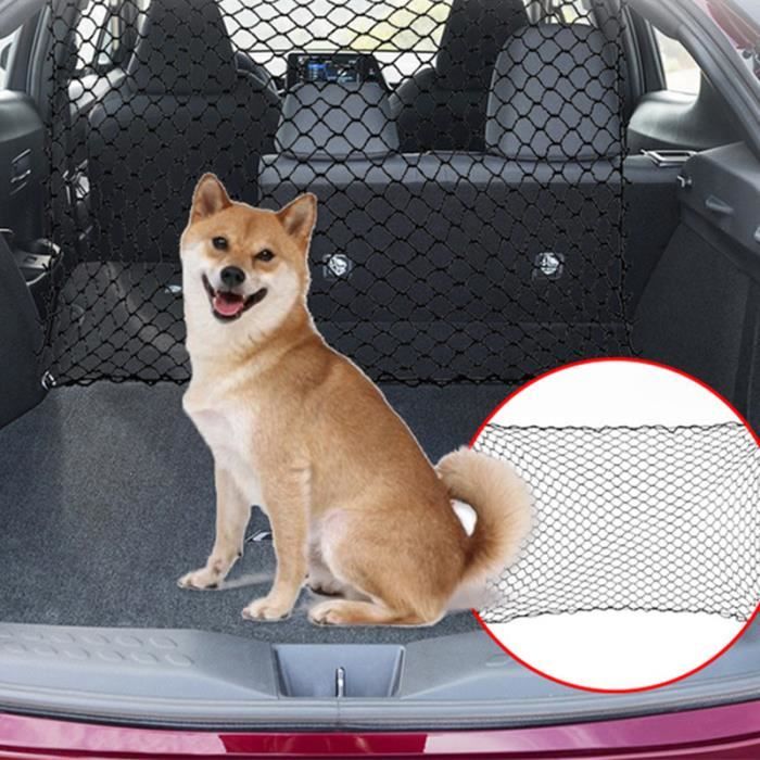 Accessoires de voiture pour chien