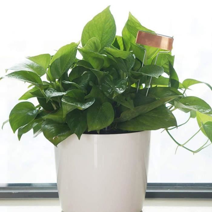 Étiquettes De Jardin En Métal Elemake 25 Pièces - Marqueurs Plantes Résistants Aux Intempéries Avec Stylo | 26cm Hauteur
