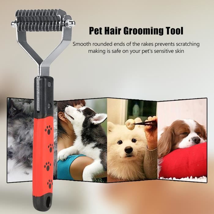 Coloration pour chien - Couleur pour poils d'animaux - Craie lavable et sûre pour les animaux
