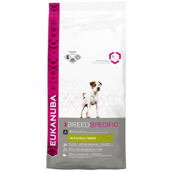 Croquette Jack Russel