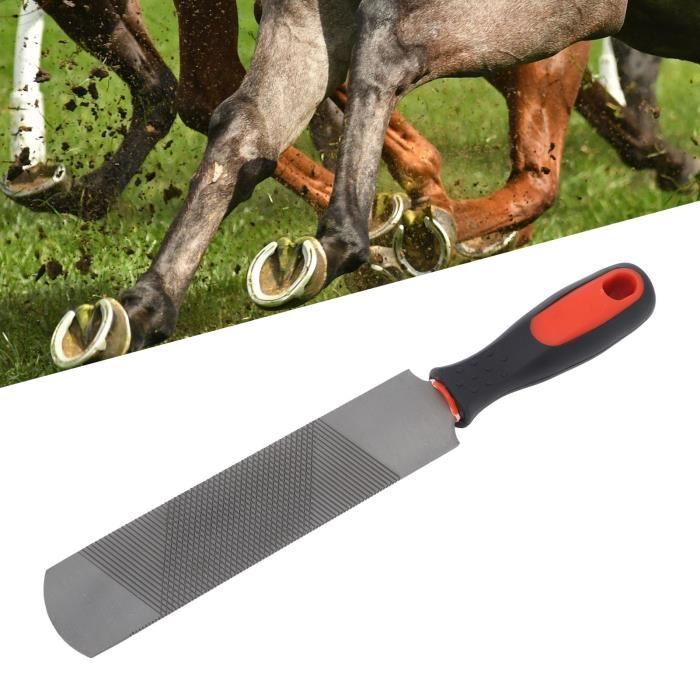 lime en fer à cheval Râpe à sabot de 8 pouces en acier au carbone, outil de  coupe en fer à cheval ergonomique En Stock YES