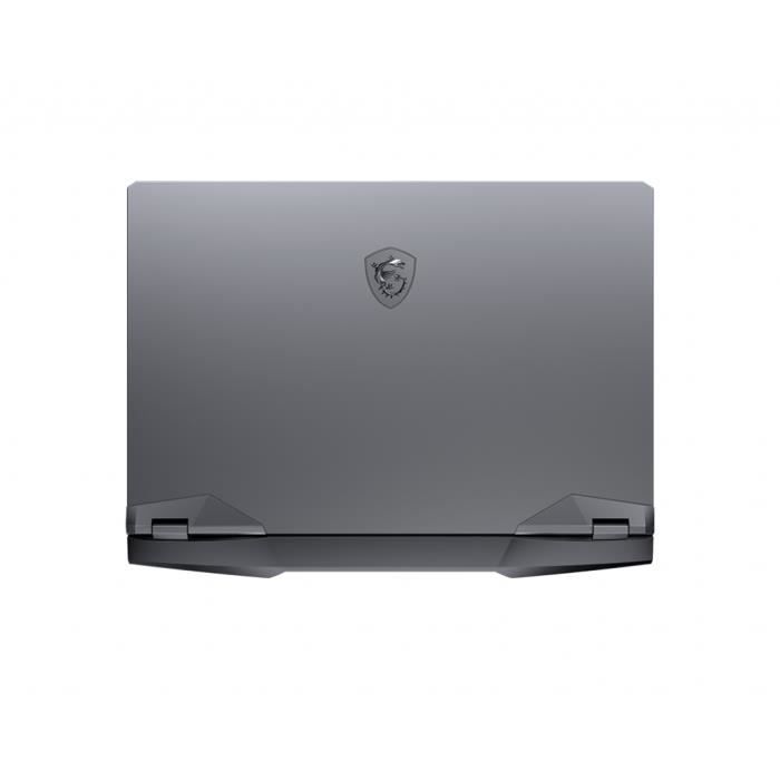  PC Portable Gamer - GE66 Raider 10SGS-208FR -2