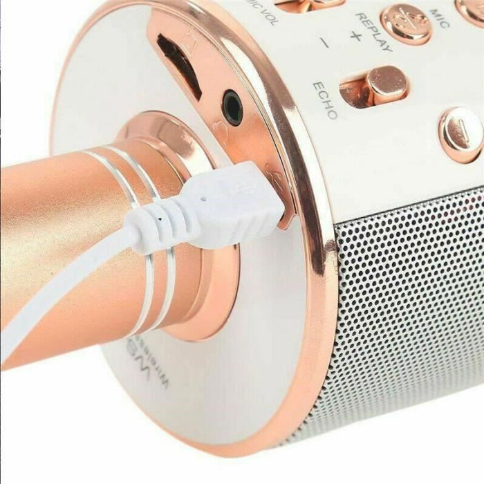 Mini Micro Karaoké Bluetooth Portable Avec 2 Micros Sans Fil – Effets Voix Magiques, LED Disco, Son HiFi (Rose)