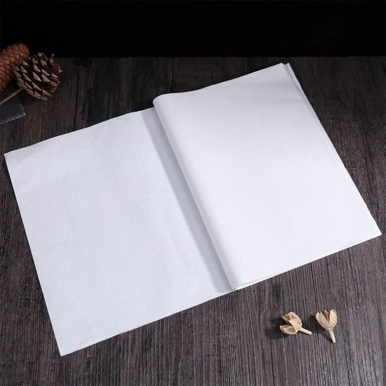 Papier de riz semi-traité Papier de riz imprimable A3 papier Xuan 297 mm x 420 mm 100 feuilles pour calligraphie et peinture japonaise