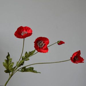 Bouquet De Coquelicots Rouges Dans Un Vase élégant. Belles Fleurs De Vecteur Dessine Main 30274765
