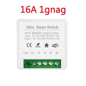ÉMETTEUR - ACTIONNEUR  16A 1gang - Tuya WiFi Mini Smart Switch 2 way Cont