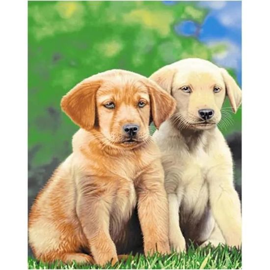 Kit Peinture Diamant 5d Diy Adultes Thème Poules D'hiver En