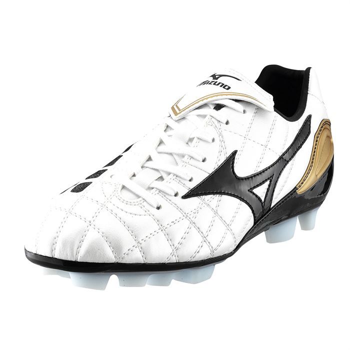 lcs r900 coq sportif