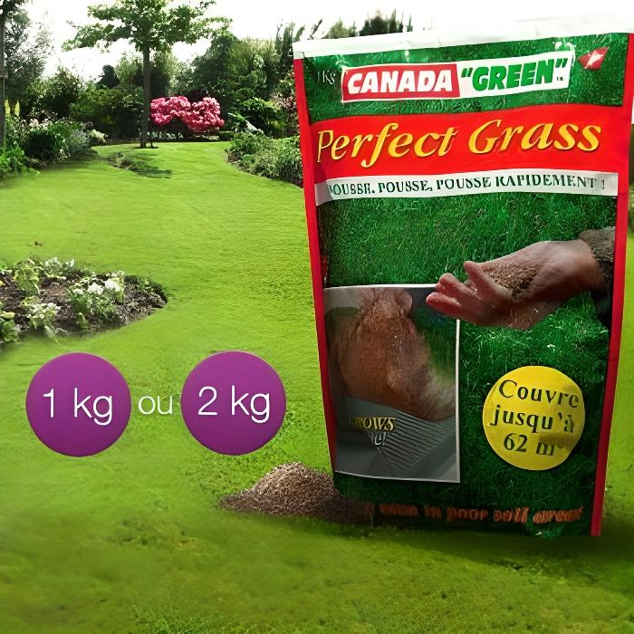 Canada Green® Pelouse parfaite - Perfect Grass
