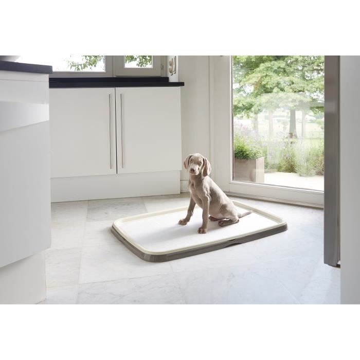 Puppy Traîner Starter Kit Extra Large