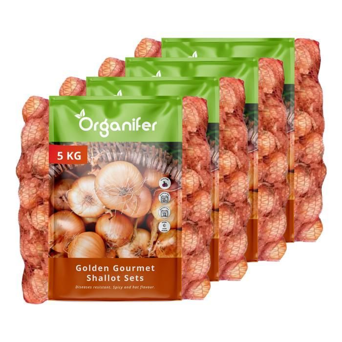 Bulbe A Planter - Oignon A Planter - Organifer - Plantes DÉchalotes Golden Gourmet 14/21 - 20 Kg