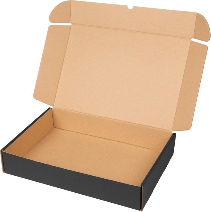 Packer Pro Lot de 25 boîtes d'expédition en carton pour commerce et