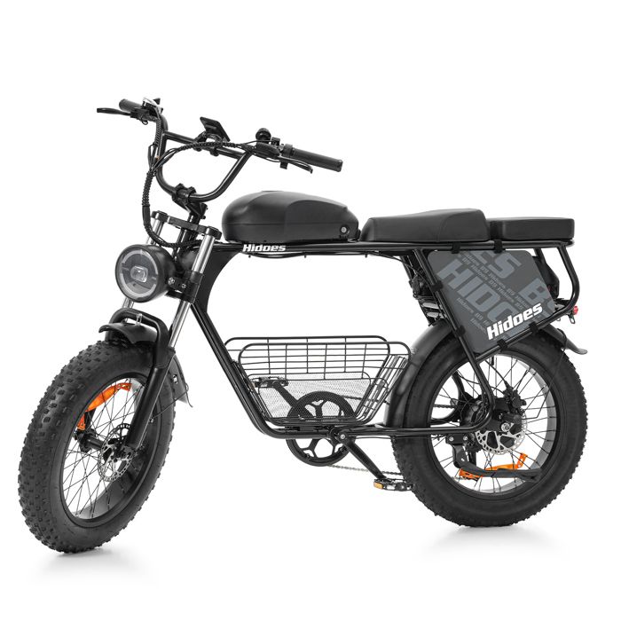 Vélo Electrique Autonomie de 150km 5 Vitesses 48V 336Ah Batterie Amouvible 750W 65NM Terrain et Urbain