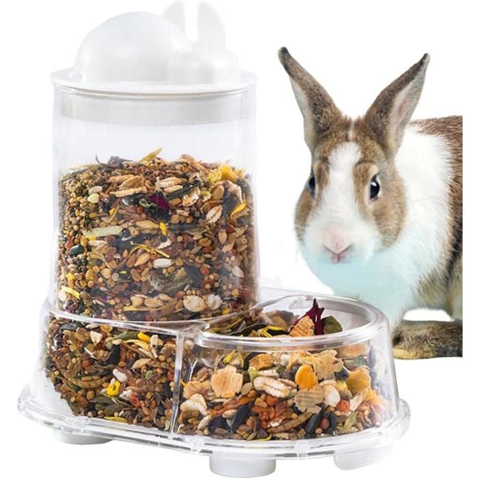 Distributeur de Nourriture pour Petits Animaux  Distributeur Automatique pour Hérissons