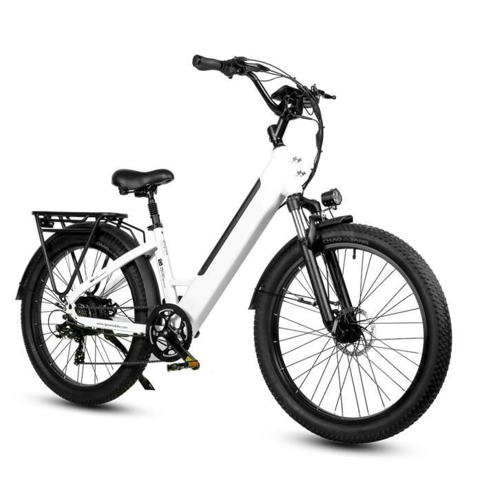 Tricycle électrique Adulte Cargo - Charge 200 Kg, Batterie 48V/12Ah Amovible, Autonomie 35 Km, Pneus Larges 20 Pouces