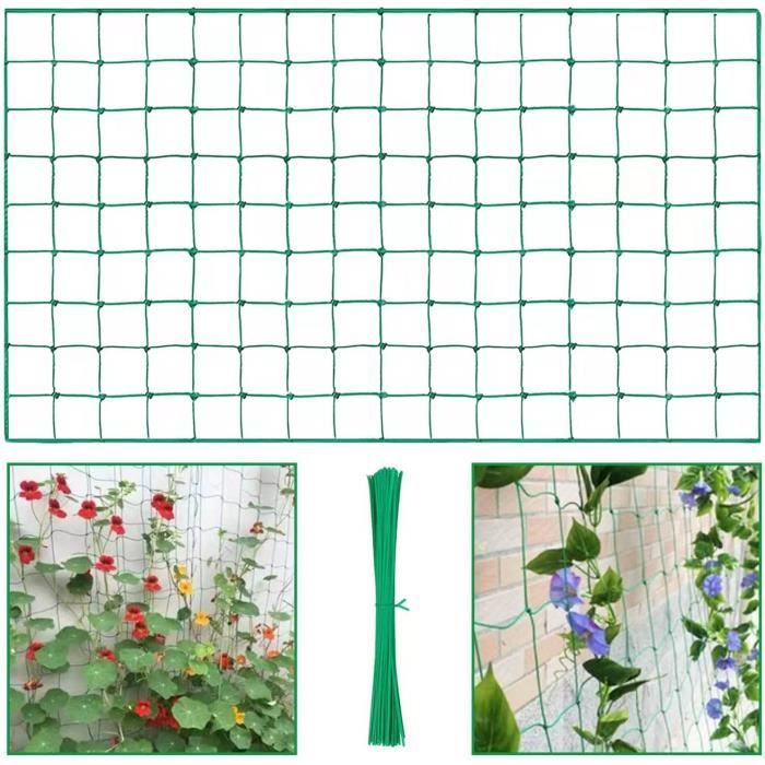 Treillis En Acier Pour Pitaya (Fruit Du Dragon) - Support Pour Plantes Grimpantes Jardin Balcon