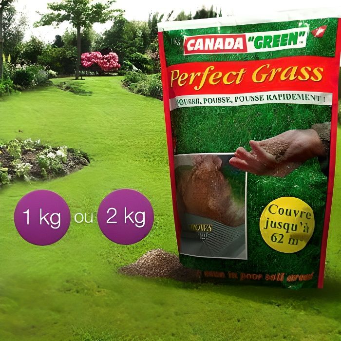 Canada Green® Pelouse parfaite - Perfect Grass - Cdiscount Jardin