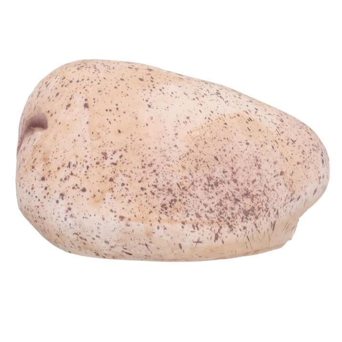 Boîte à Clé Caché En Pierre Simulée - Résine Imperméable - Cache Extérieur Rocher Factice