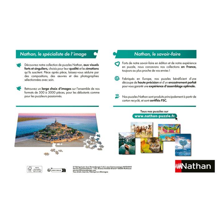 Nathan - Puzzle 2000 pièces - Les portraits / Astérix -dès Nathan - Puzzle 2000 pièces - Les portraits / Astérix -dès