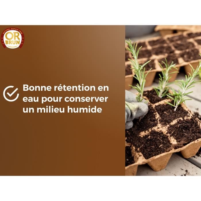 6 conseils pour réussir son carré potager