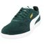 training puma homme
